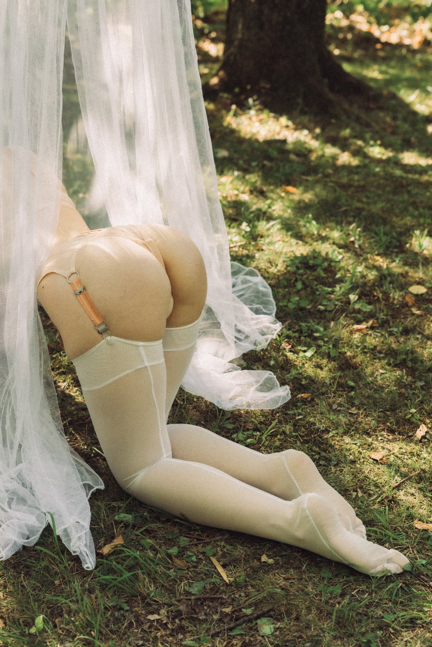 Tender set - Limited